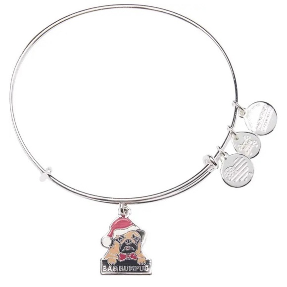 Alex and Ani Bah Humpug Bangle Bracelet - Picture 2 of 10